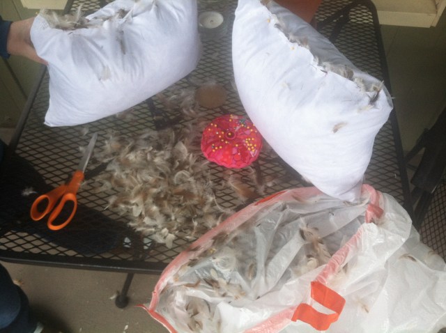 DIY Fail? Only time would tell