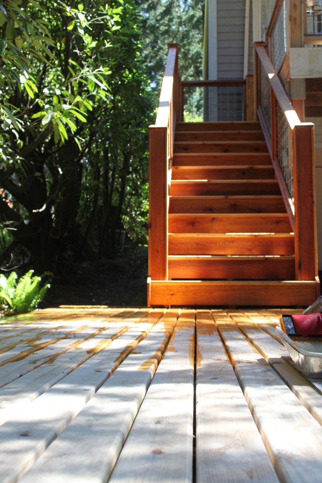 Staining, staining, staining...