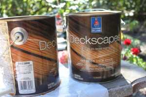 Natural Oil-Based Toner