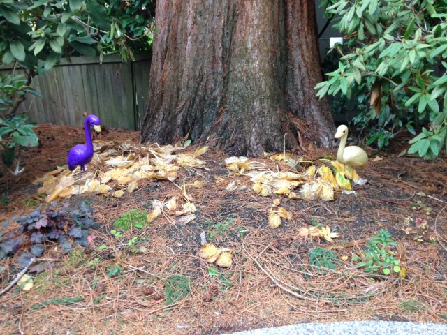 Fall shade garden decomposition | Megan's Island Blog