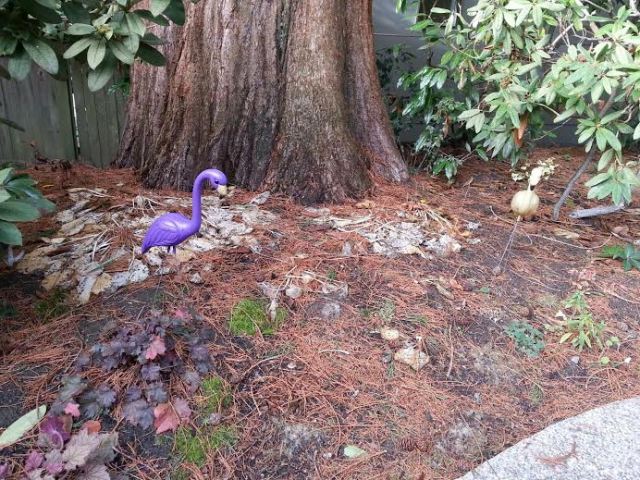 Fall shade garden | Megan's Island Blog