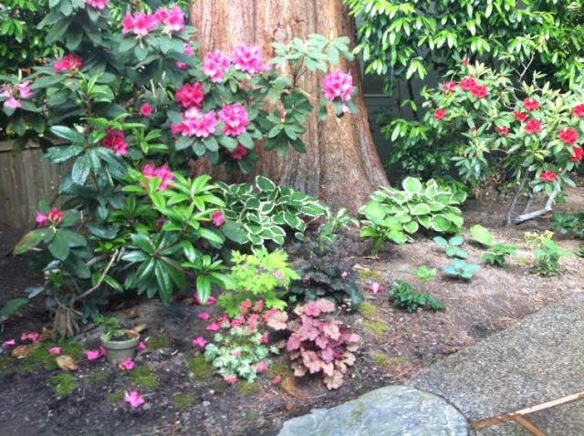 Fall shade garden | Megan's Island Blog