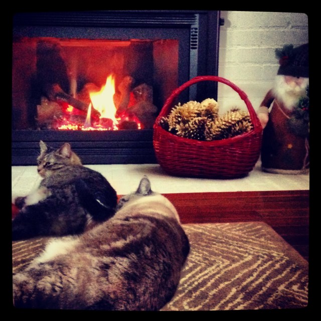 Cozy holiday living room | Megan's Island Blog