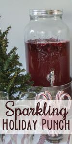 Sparkling holiday punch  