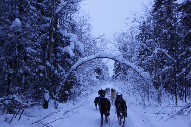 Two hours of sledding