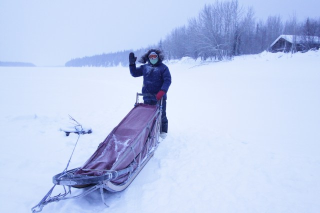 Dog sledding in the Arctic