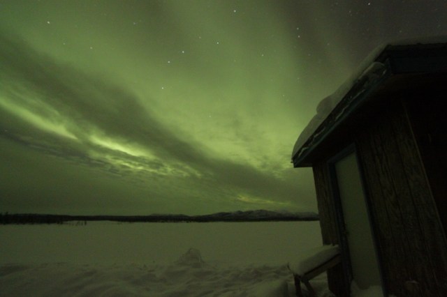 Northern lights from the Bettles' viewing pond