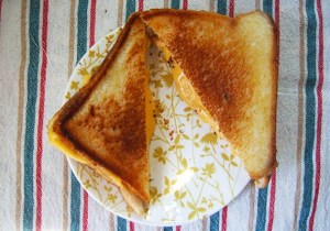 Toasted cheese sandwich 