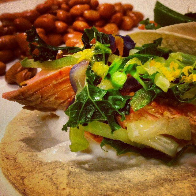 Citrus-y salmon tacos with cilantro 