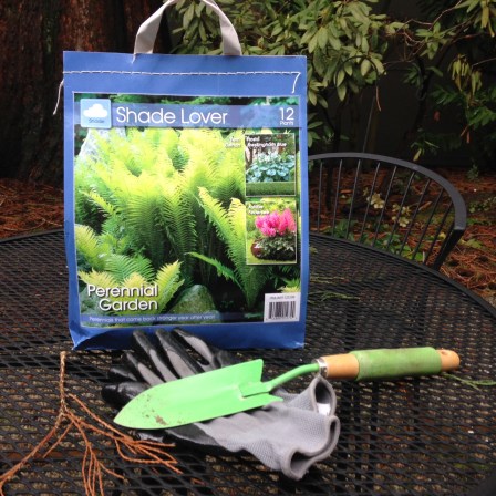 Shade garden bulbs from Costco