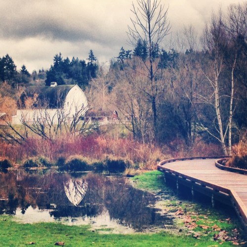 Kelsey Creek Farm: Such beautiful terrain 