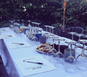 Our Vine Trainings set up 