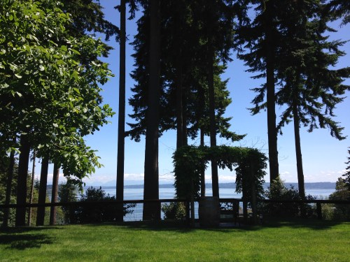 Comforts of Whidbey Winery