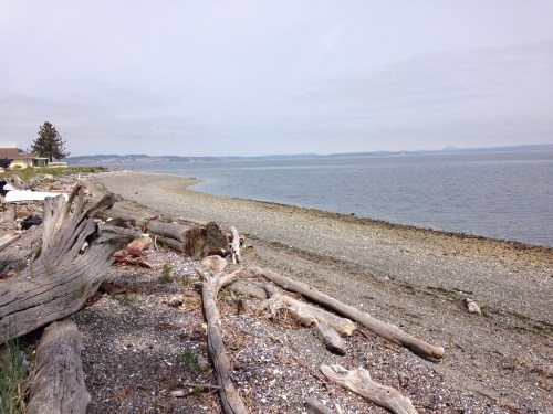 A Sunday stroll on the beach