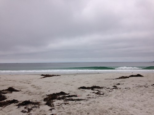 Carmel Beach