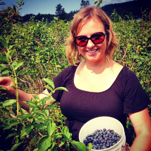 Blueberry picking in North Bend