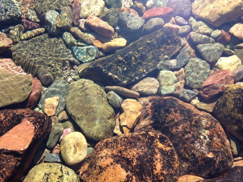 Clearest water I've ever seen, Flathead Lake