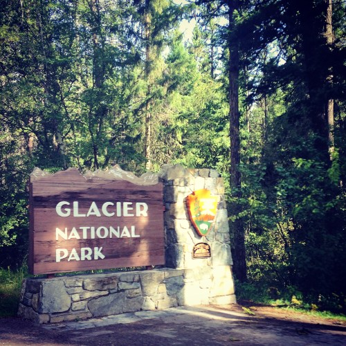 Going on a bear hunt... at Glacier National Park! 