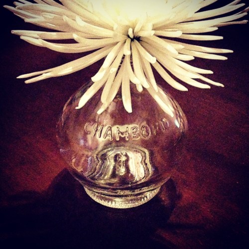 It looks good as is, but would also look great in GOLD! 