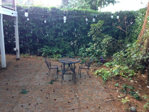 Windstorm hits the backyard and the bistro lights fared just fine! 