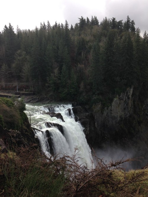 Snoqualmie Falls from the main viewing platform