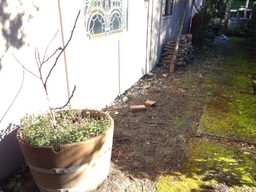 Before shot of our new garden area