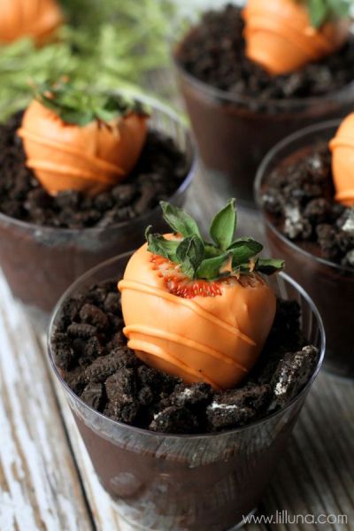 Oreos pudding cups with chocolate-covered strawberries, err, carrots 