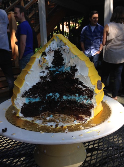 BLUE frosting! It's a BOY!