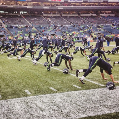 Seahawk stretching