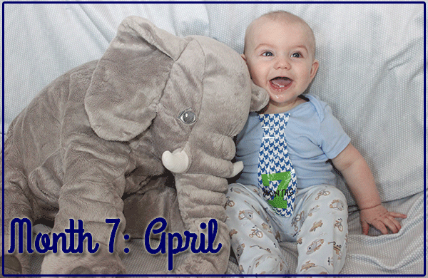 Baby Michael: Month 7