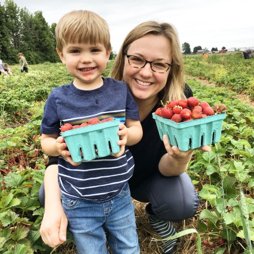 Strawberry picking at Greg's U-Pick Farm in Clarence NY