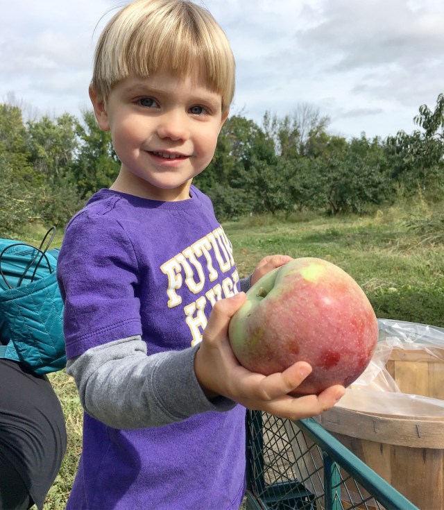 Apple picking at Sanger Farms