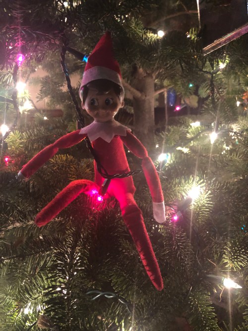 Elf on the Shelf in the tree